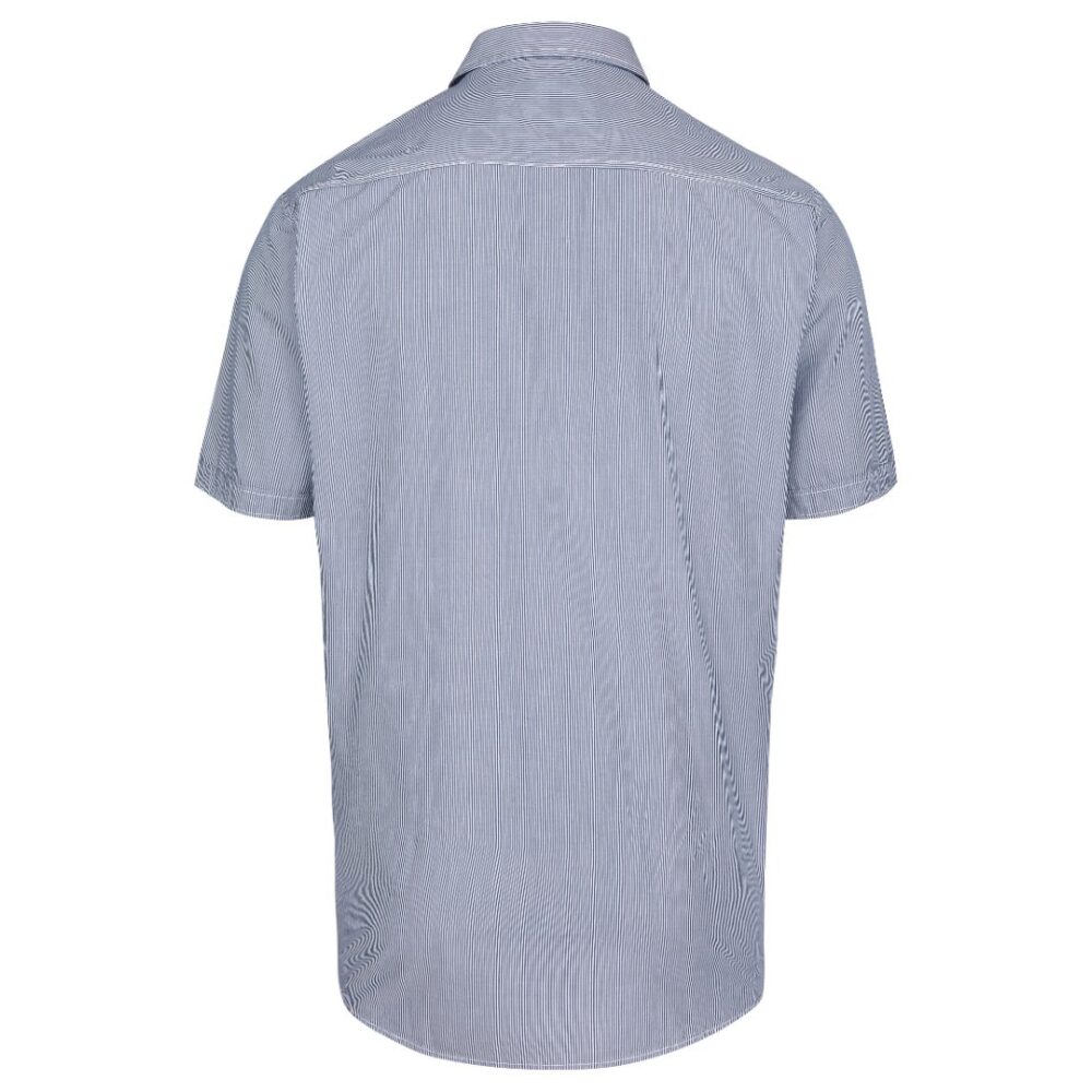 Ανδρικό ριγέ κοντομάνικο πουκάμισο γκρι-σιελ χρώμα Calamar CL 109830-7S14-44