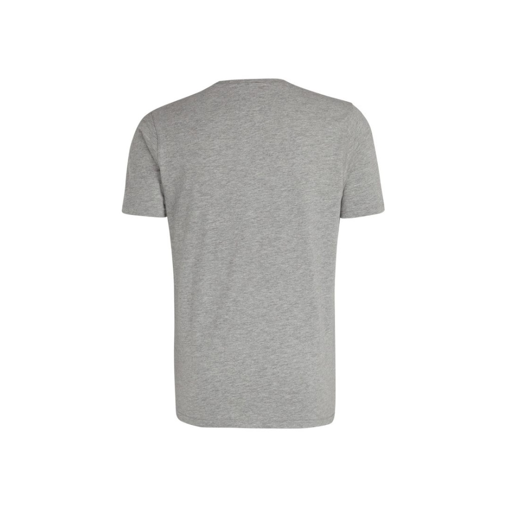 Men's T-shirt gray short-sleeved Camel Active CA 118057-30